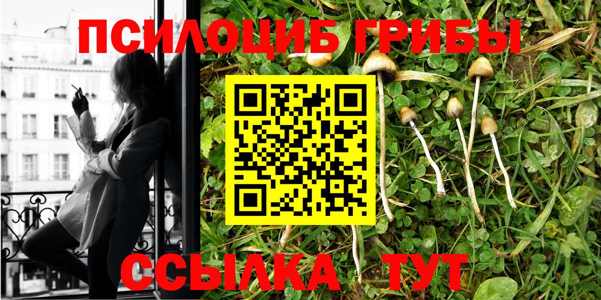 купить закладку  Вход с VPN  Орехово-Зуево  Галлюциногенные грибы Psilocybine cubensis 